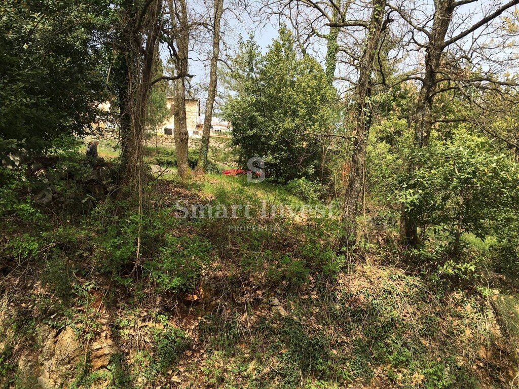Image 6224674 - 7
