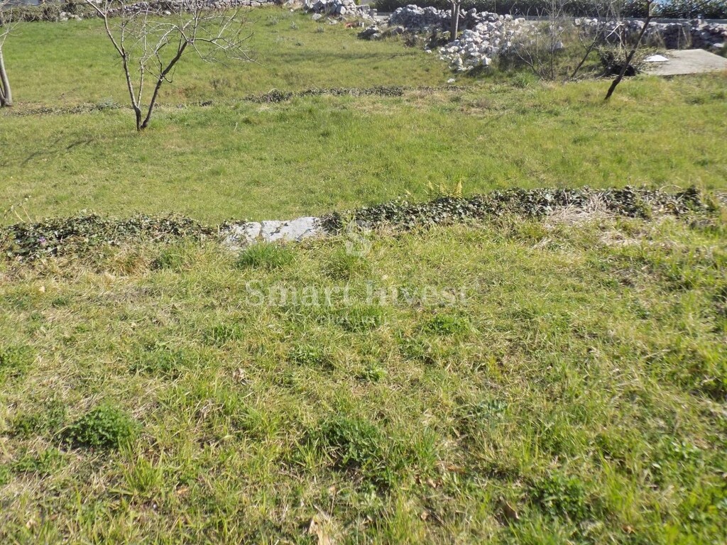 Image 6224675 - 5
