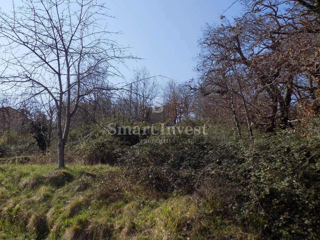 Image 6224675 - 6
