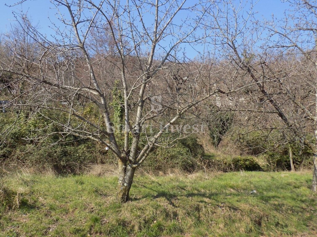 Image 6224675 - 4