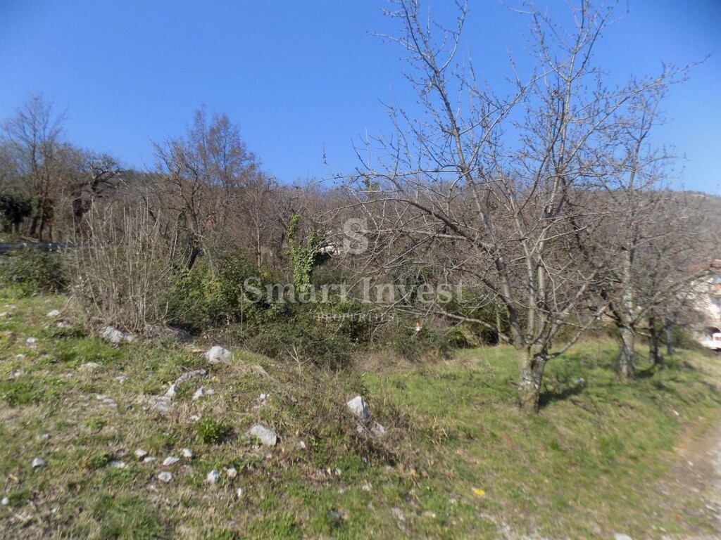 Image 6224675 - 2