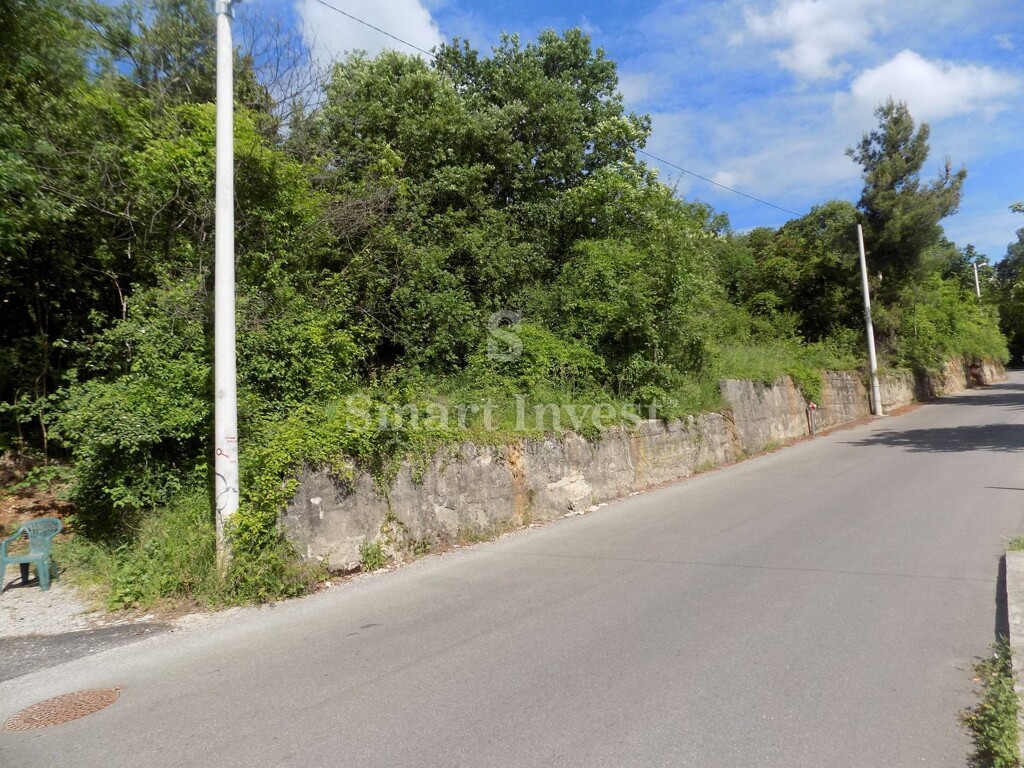 Image 6224692 - 1