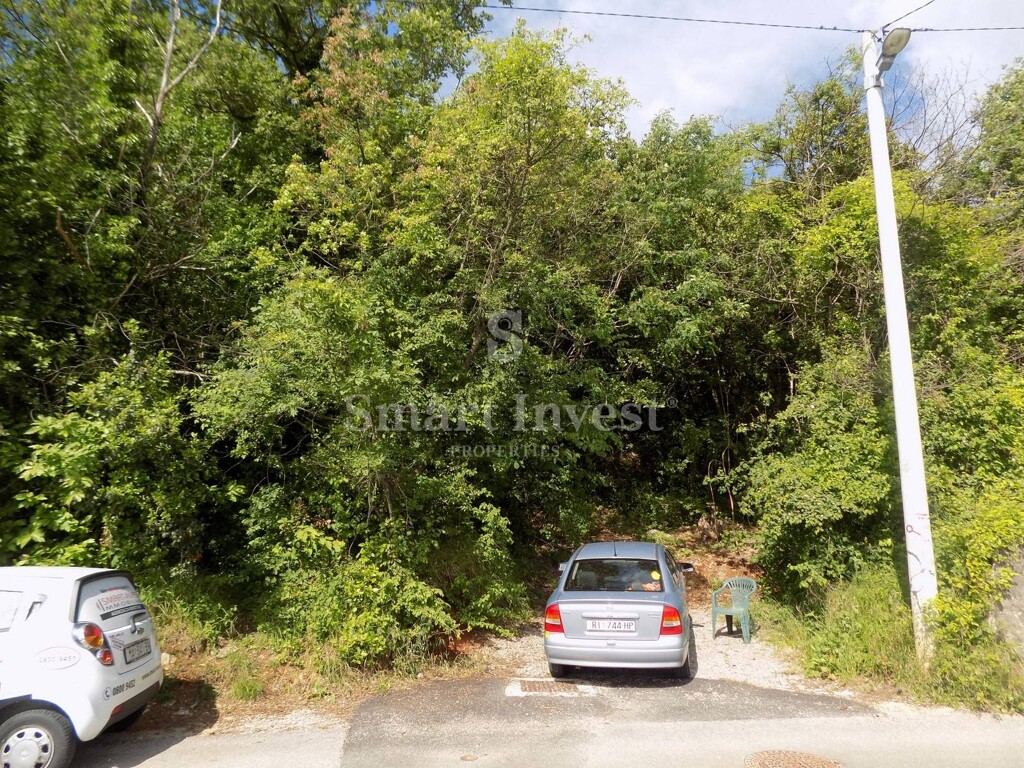 Image 6224692 - 2