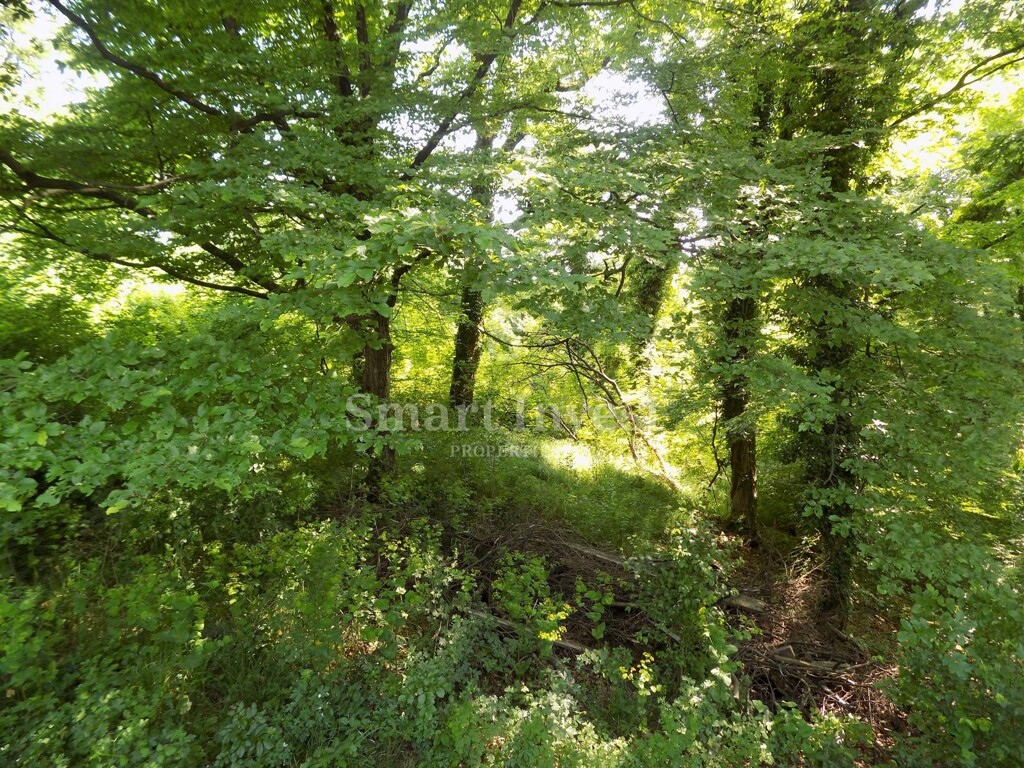 Image 6224693 - 5