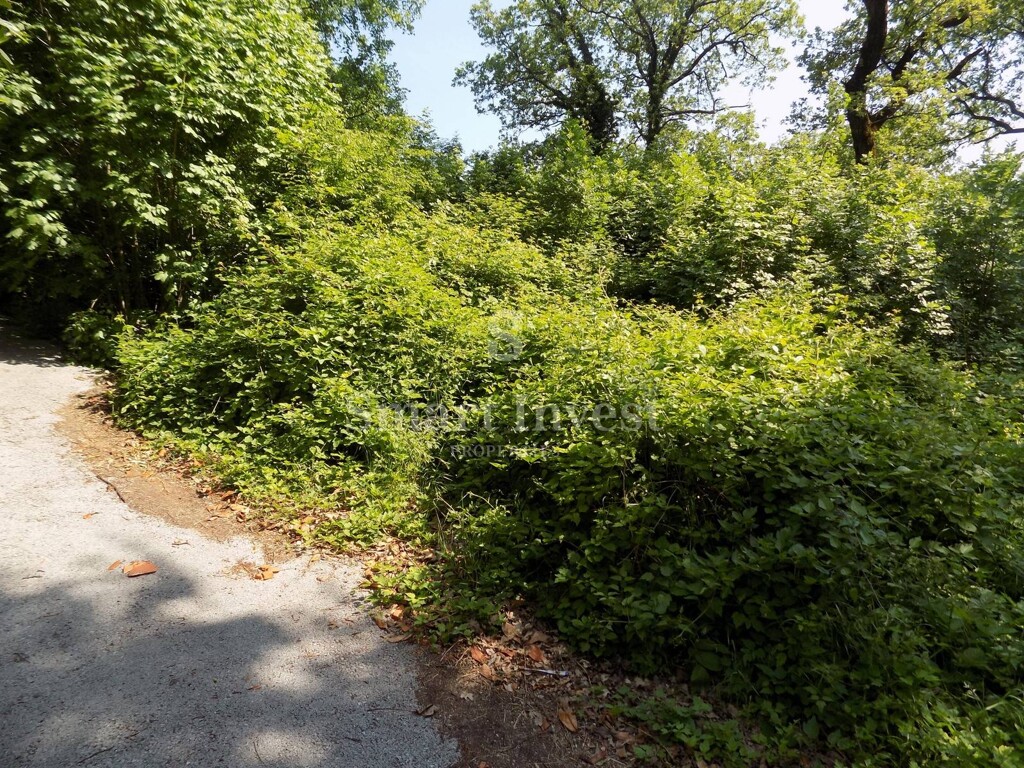 Image 6224693 - 4