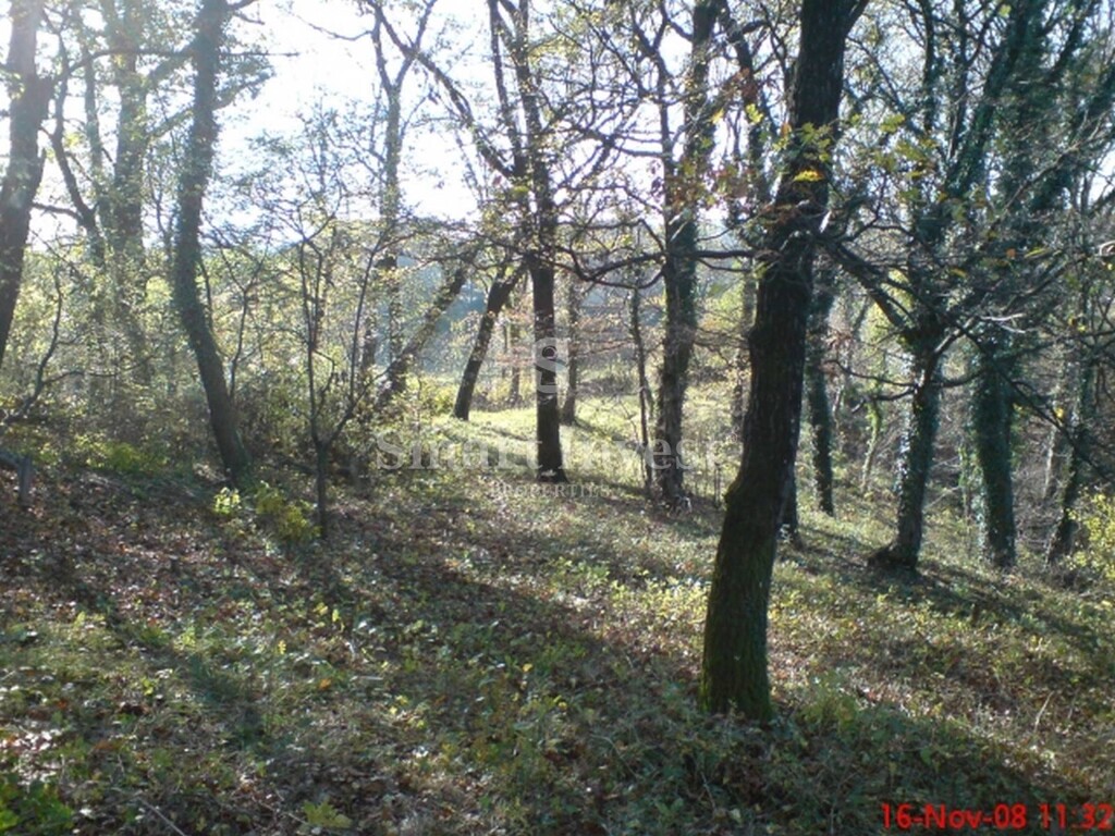 Image 6224693 - 2