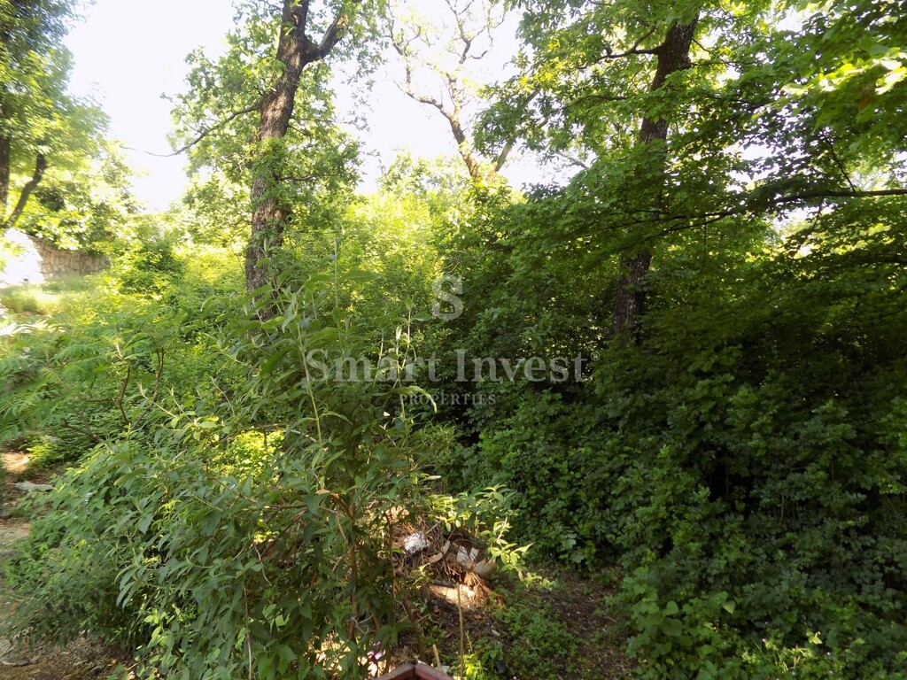 Image 6224693 - 6