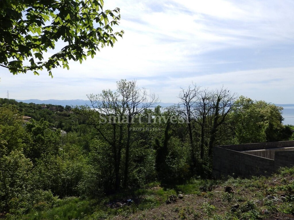 Image 6224696 - 2