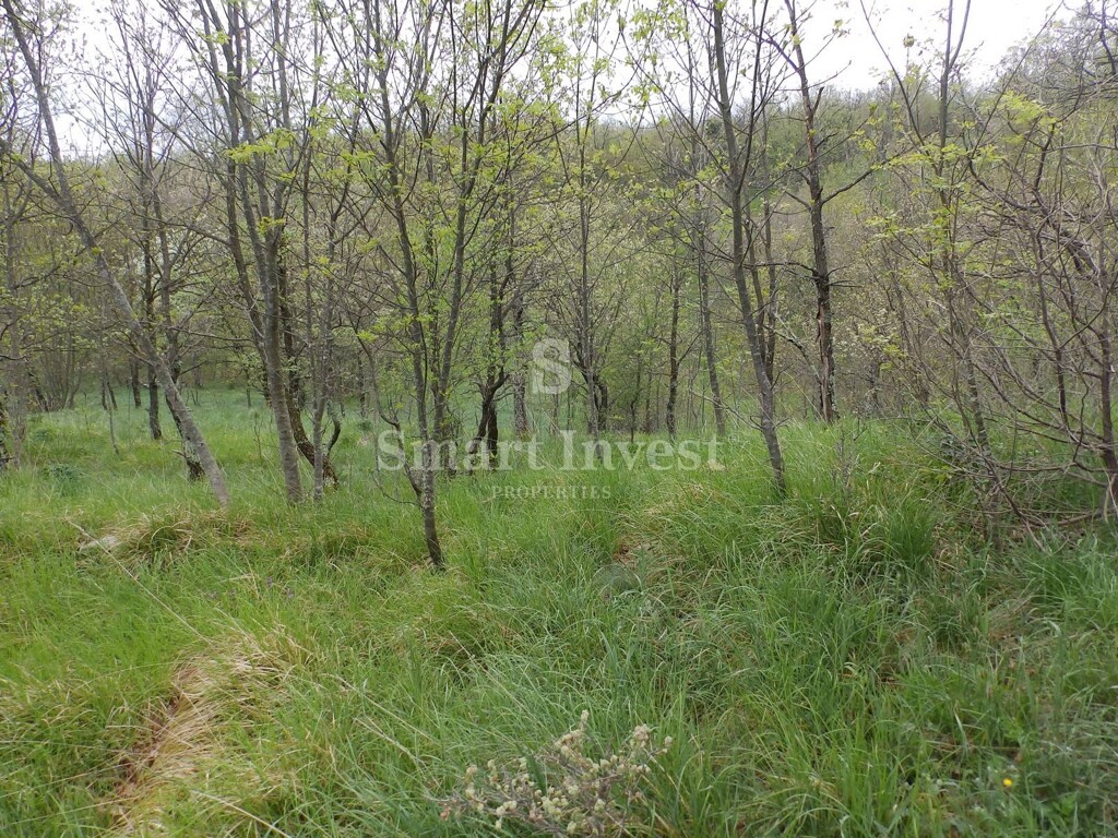 Image 6224697 - 1