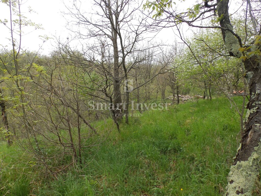 Image 6224697 - 5
