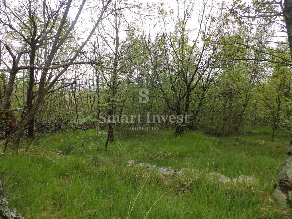 Image 6224697 - 6