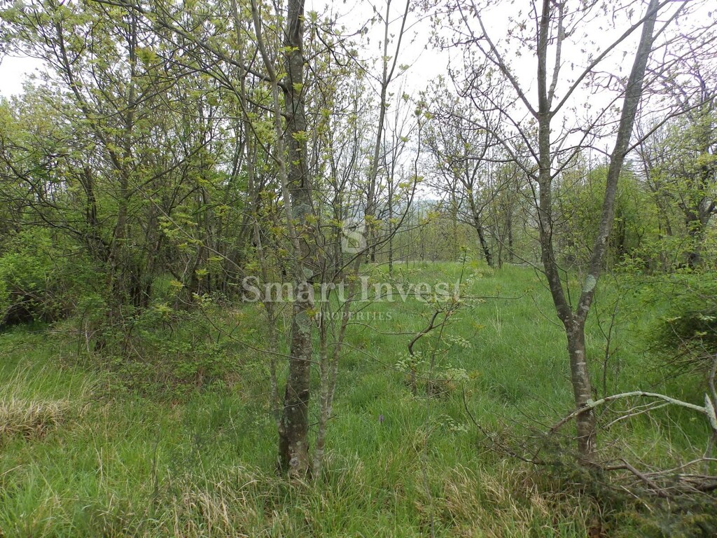 Image 6224697 - 2
