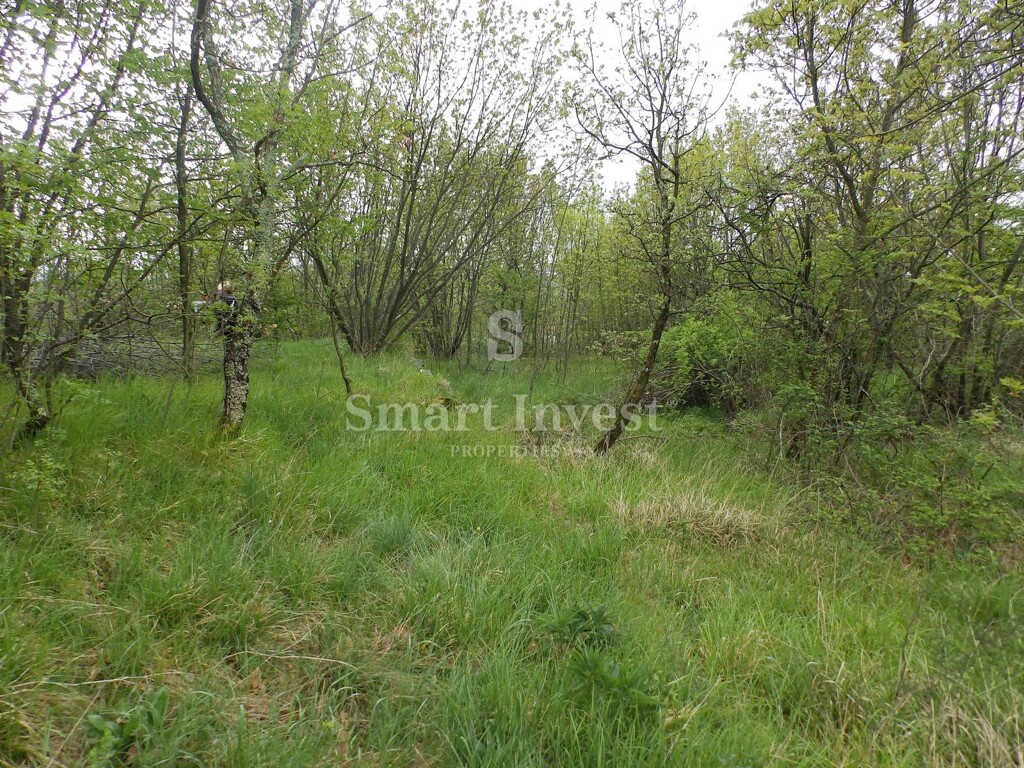 Image 6224697 - 4