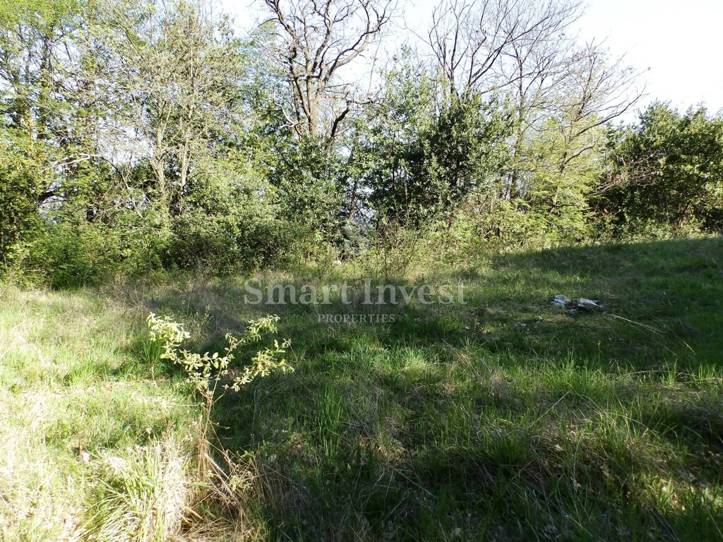 Image 6224698 - 7
