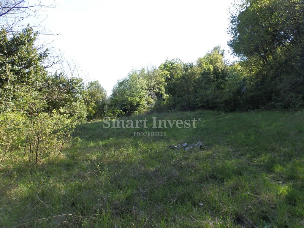 Image 6224698 - 5