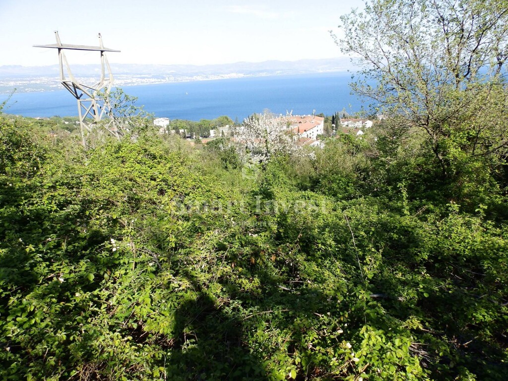Image 6224698 - 1