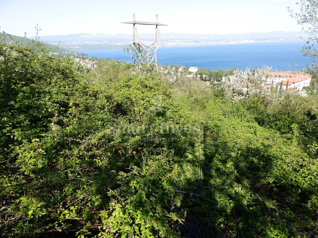 Image 6224698 - 2