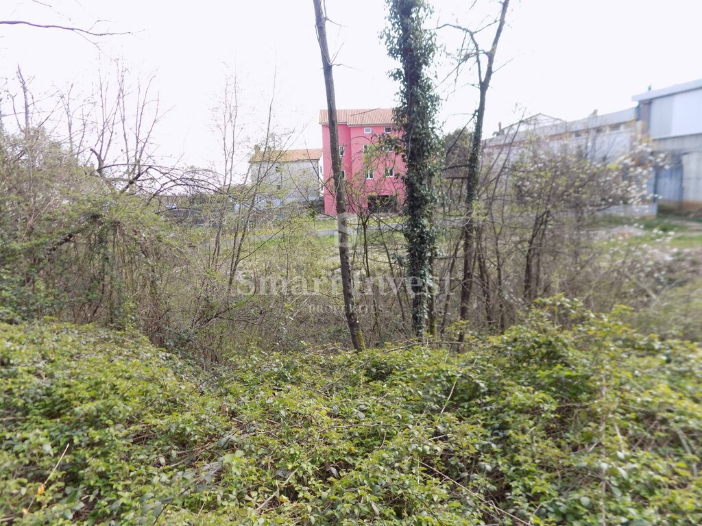Image 6224699 - 4