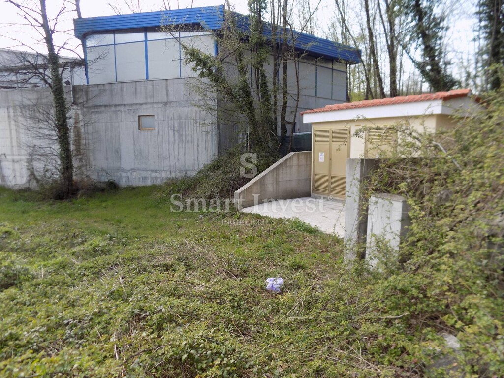Image 6224699 - 1