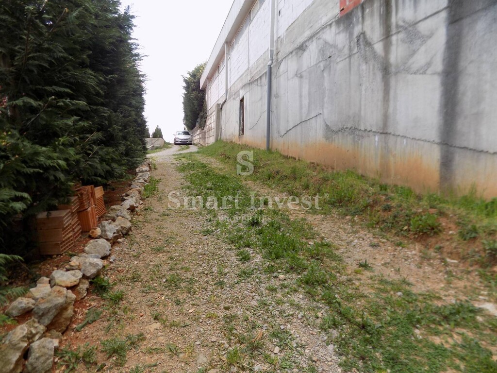 Image 6224699 - 7