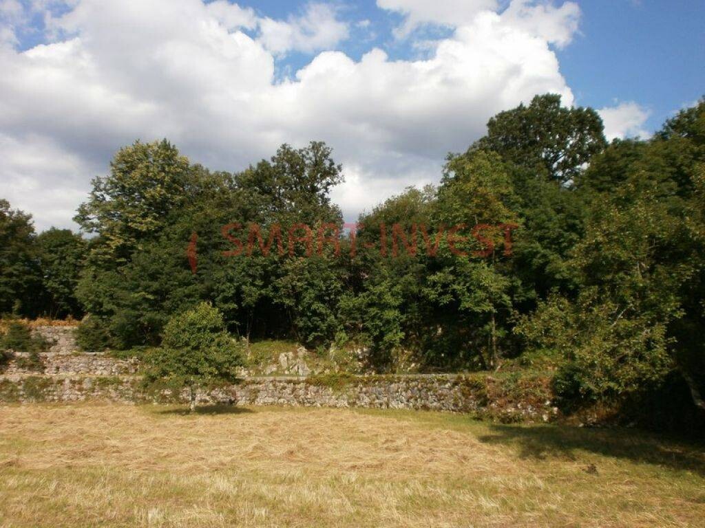 Image 6224703 - 15