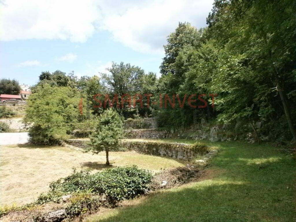 Image 6224703 - 7