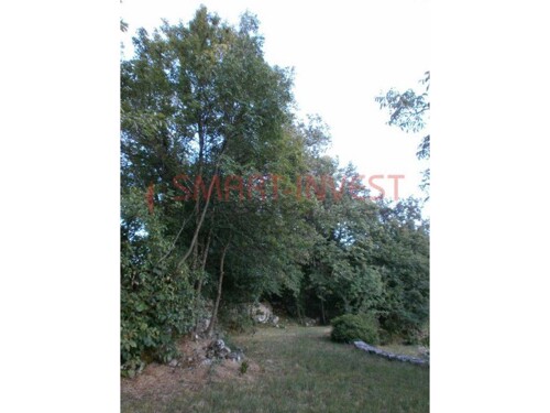 Thumbnail 6224703 - 13
