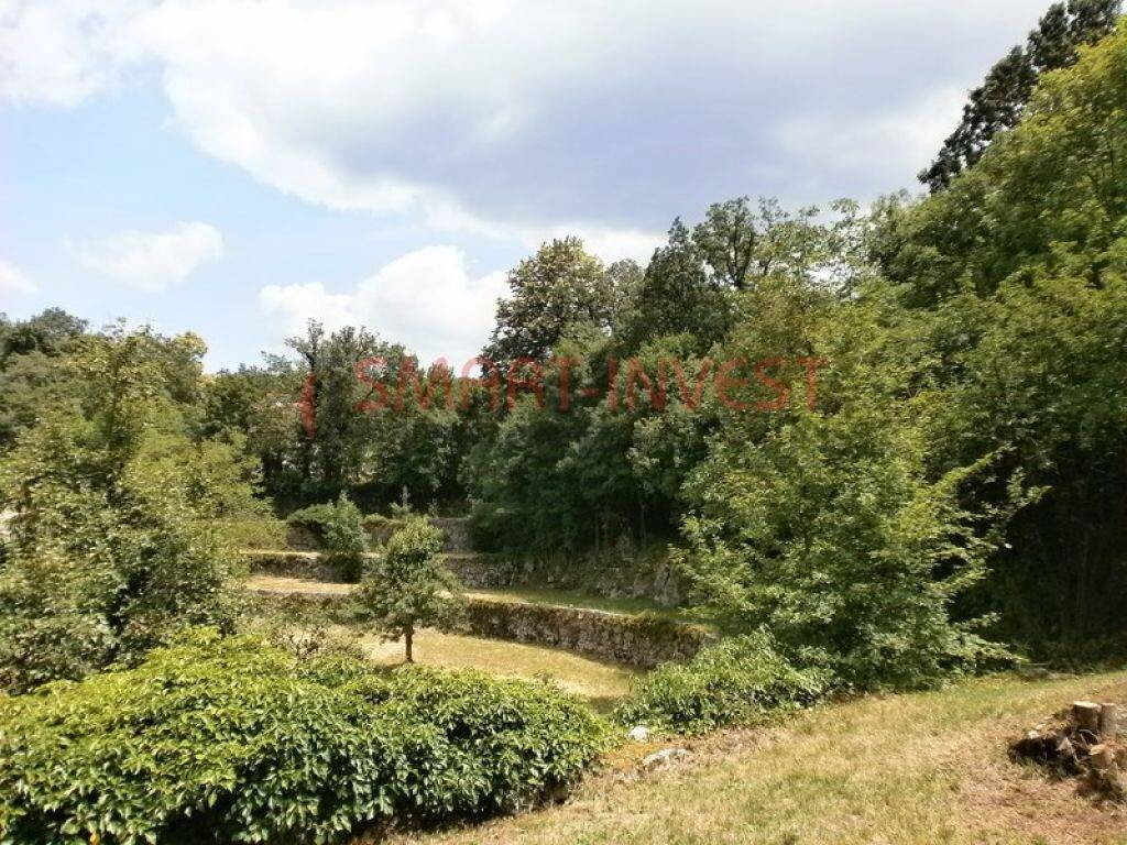 Image 6224703 - 9