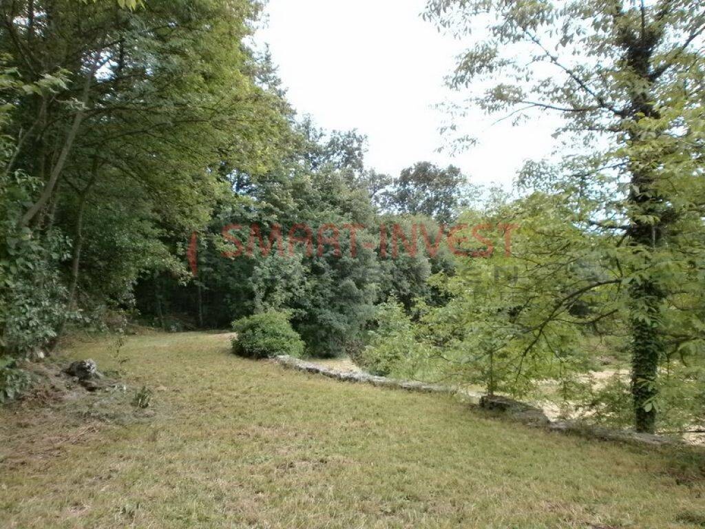 Image 6224703 - 5