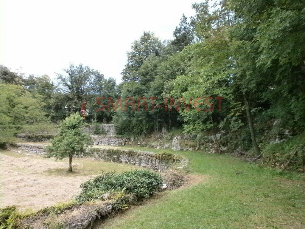 Image 6224703 - 4
