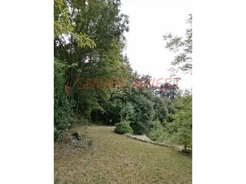 Thumbnail 6224703 - 6