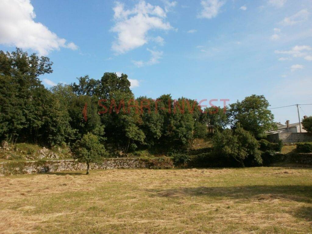 Image 6224703 - 1