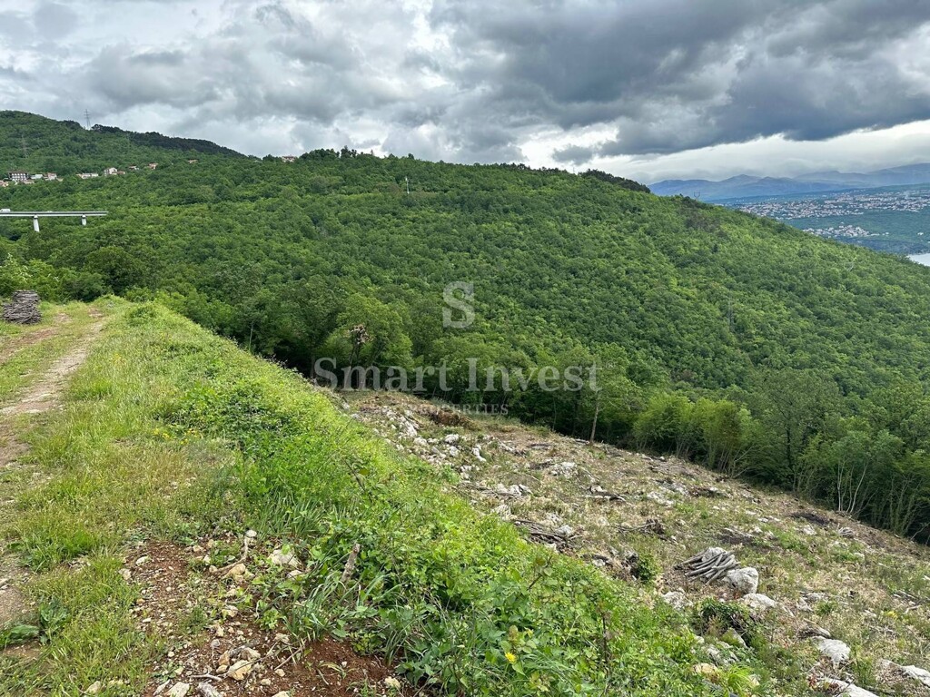 Image 6224714 - 7