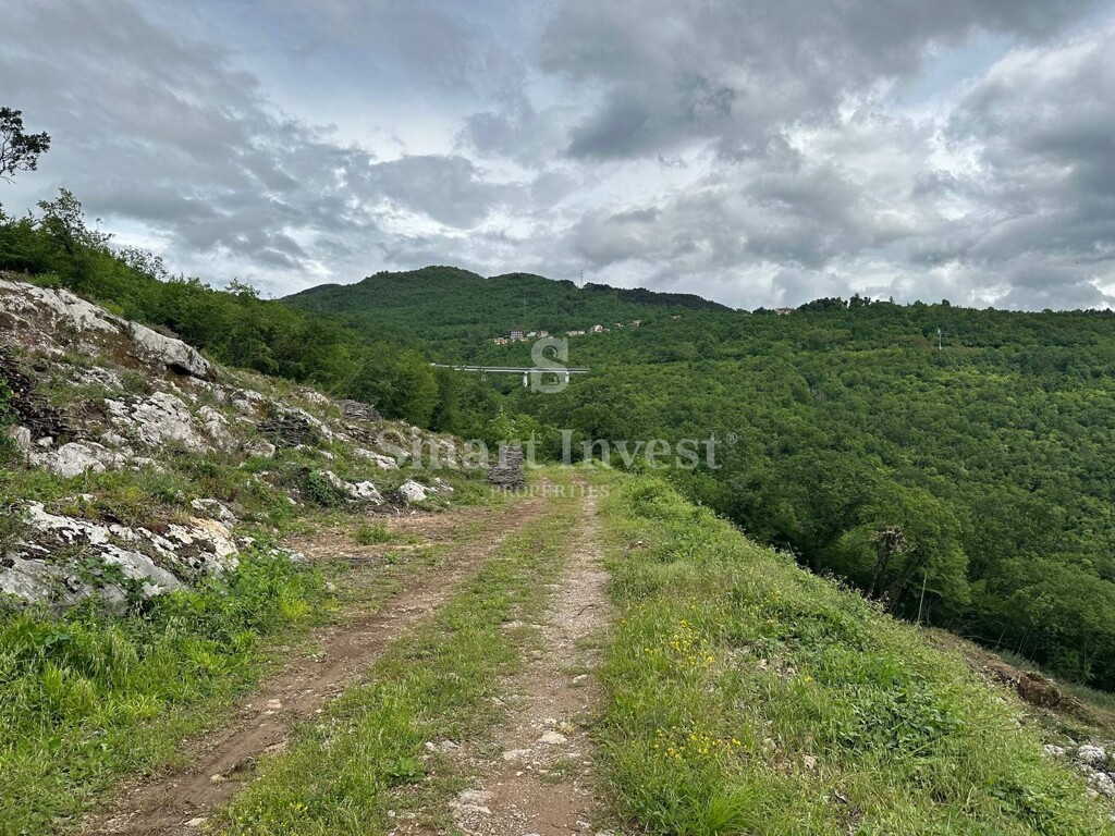 Image 6224714 - 9