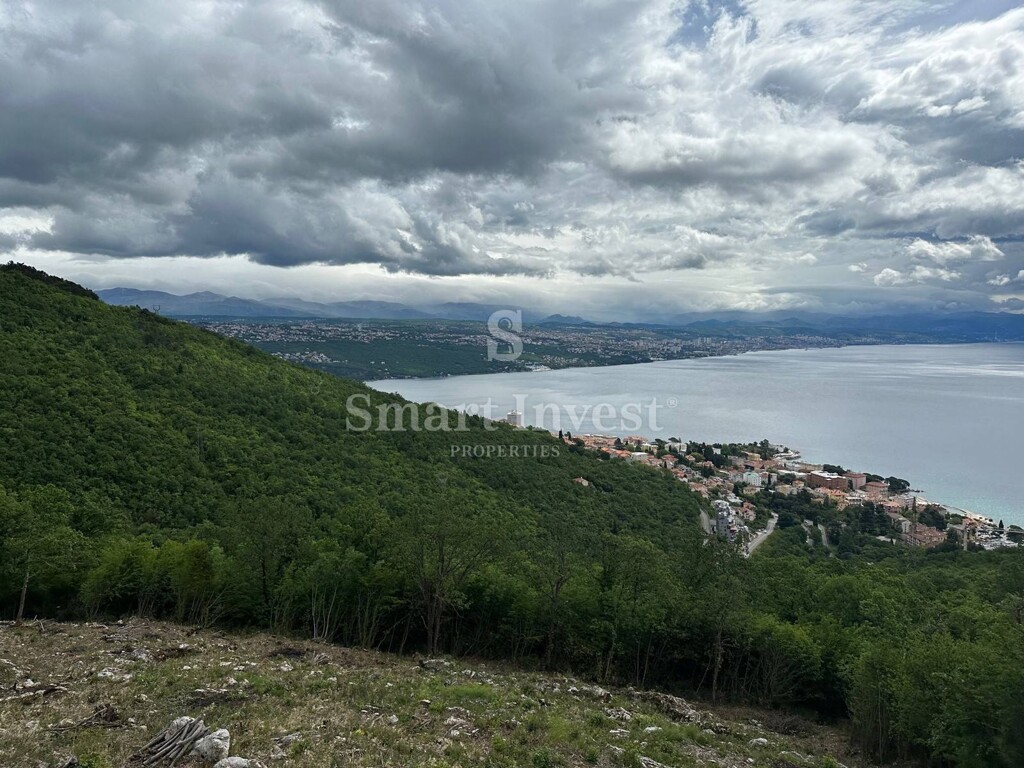 Image 6224714 - 12