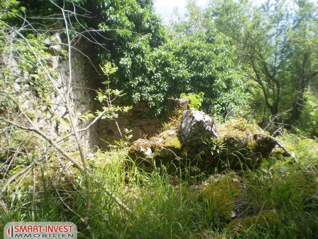 Image 6224716 - 5