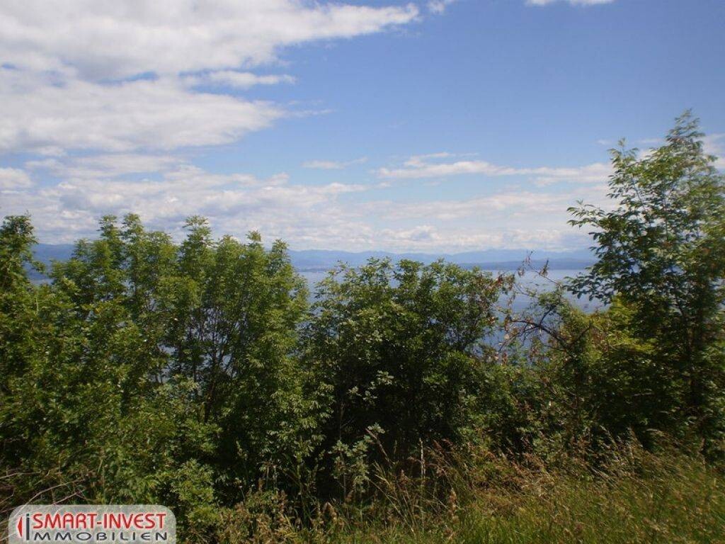 Image 6224716 - 1