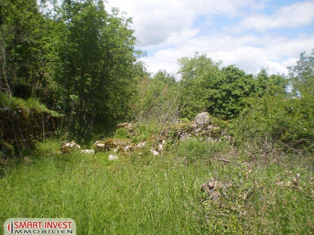 Image 6224716 - 4