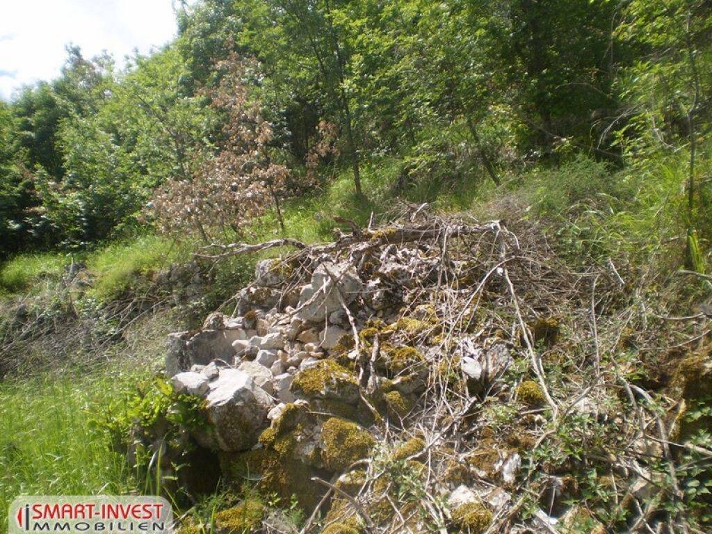 Image 6224716 - 8