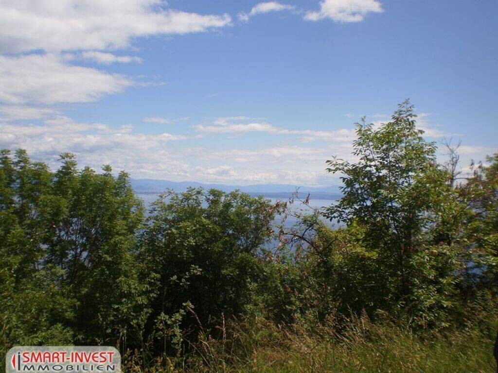 Image 6224716 - 2