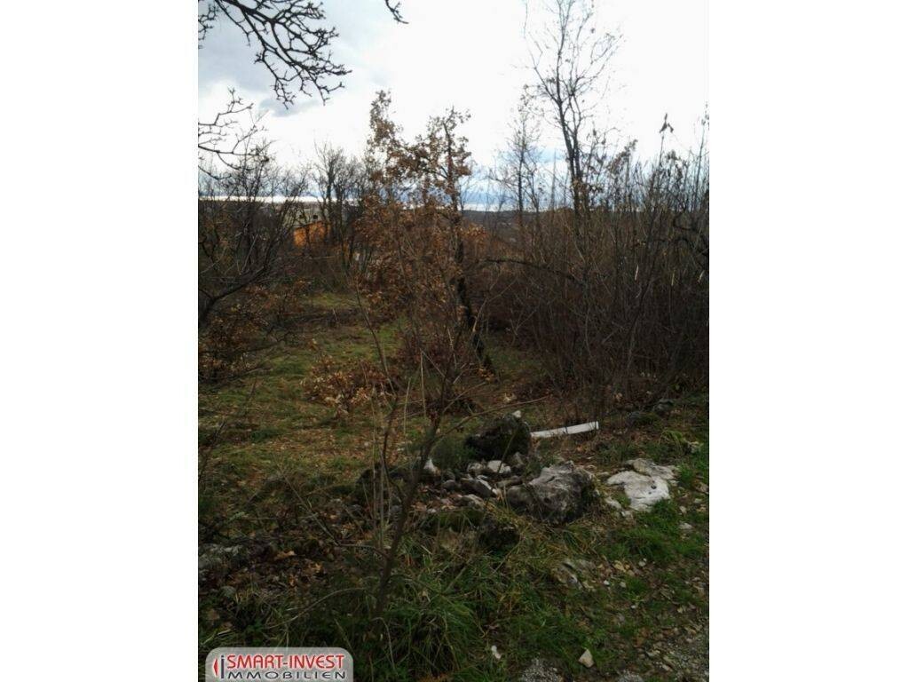 Image 6224720 - 6