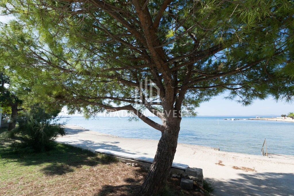 Image 6224924 - 4
