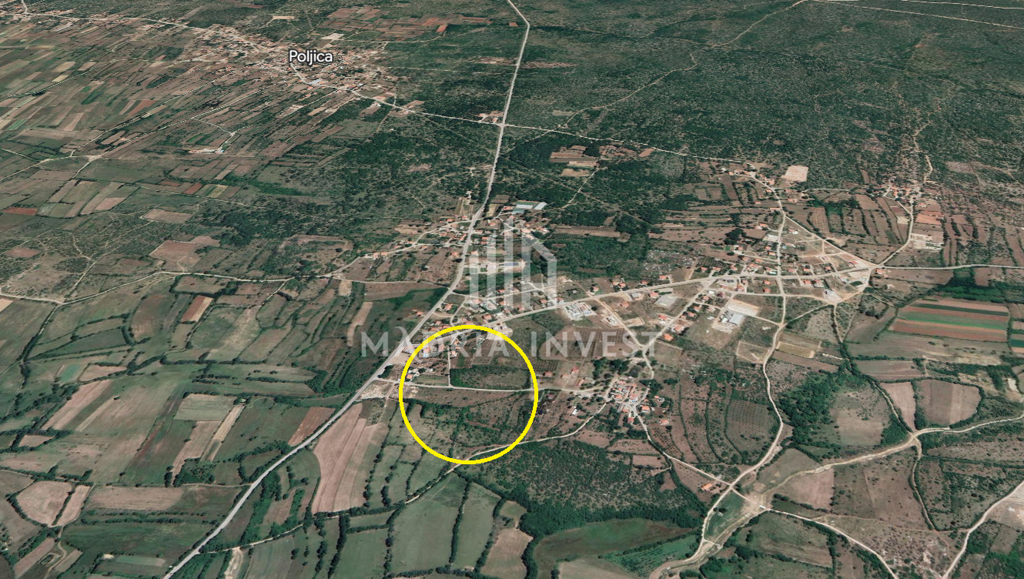 Image 6225002 - 1