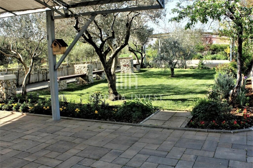 Image 6225010 - 1