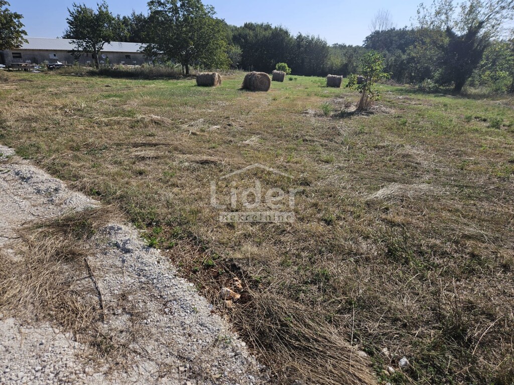 Image 6225243 - 9