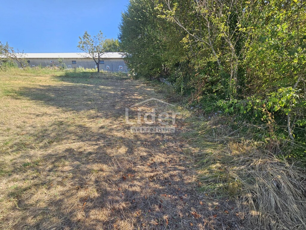Image 6225243 - 10