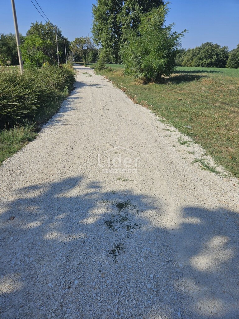 Image 6225243 - 4