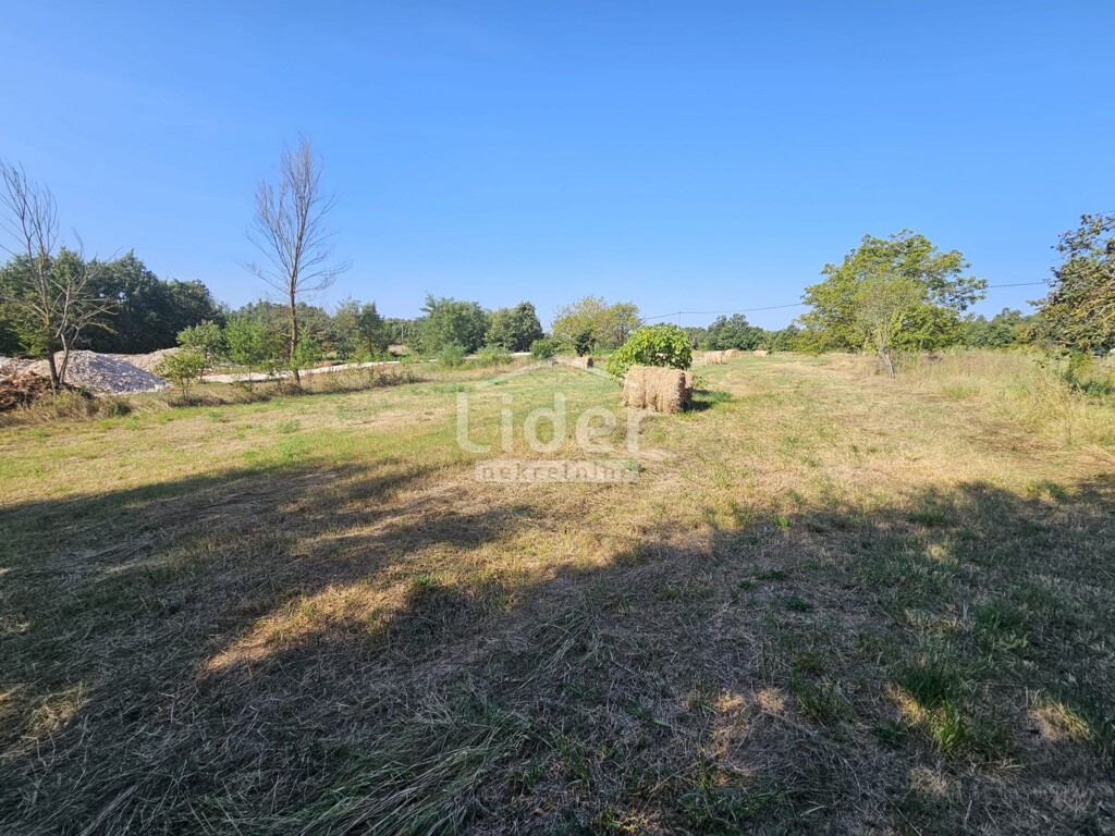 Image 6225243 - 12