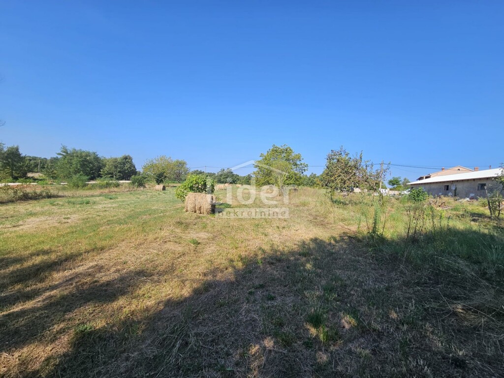 Image 6225243 - 14