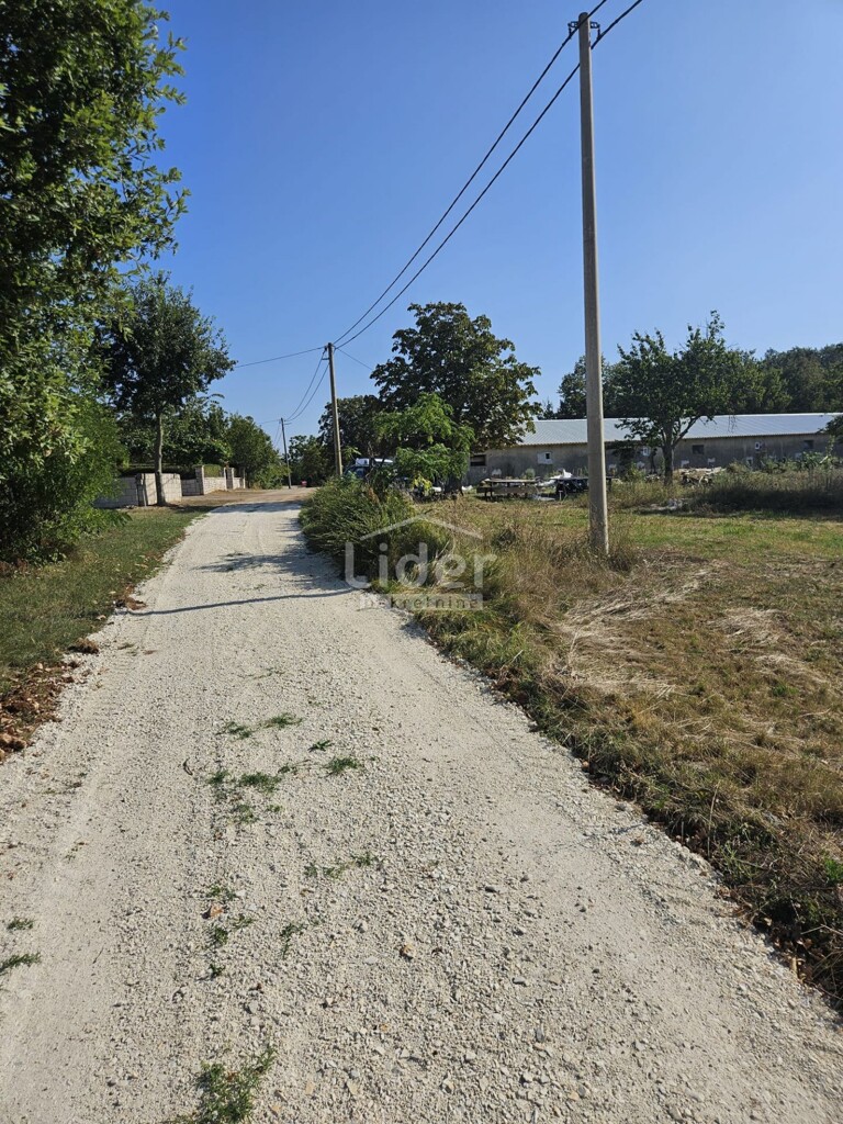 Image 6225243 - 7